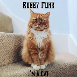 I'm a Cat