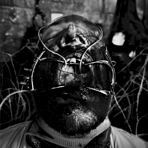 Extraction