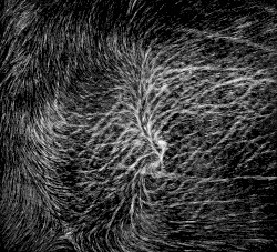 [untitled]