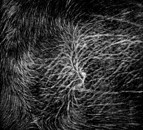 [untitled]