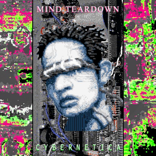 Cybernetica