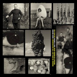 Making a Fire (Mark Ronson Re-version) / Chasing Birds (Preservation Hall Jazz Band Re-version)