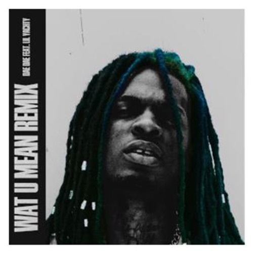 Wat U Mean (remix)