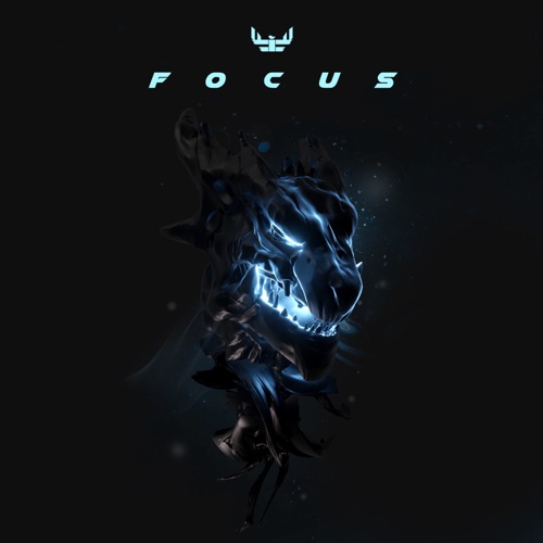 Focus