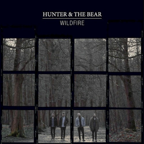Wildfire