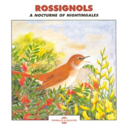 Rossignols / A Nocturne of Nightingales