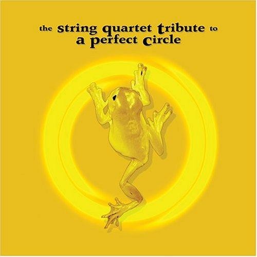 The String Quartet Tribute to A Perfect Circle