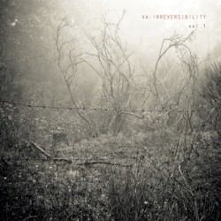 Irreversibility, Volume 1