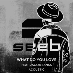 What Do You Love (acoustic)