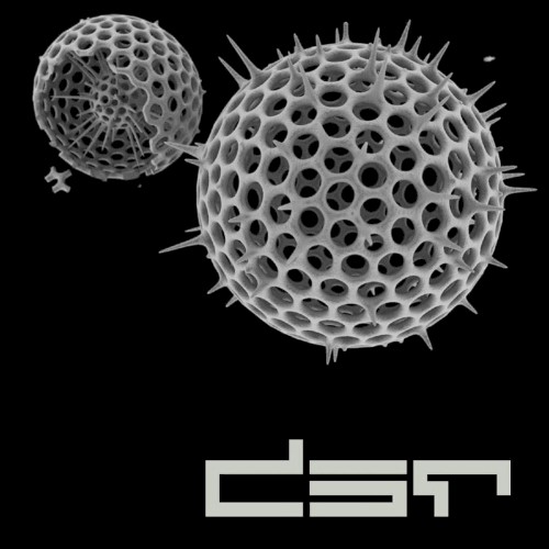Organism (Original Mix)