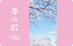 春の歌 (New Yoeko Ver. / 先行シングルVer)