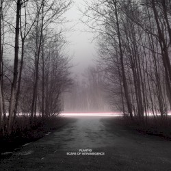 Scars of Intransigence