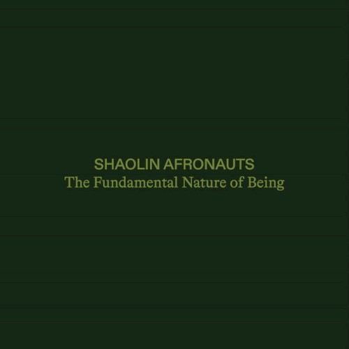 The Fundamental Nature of Being