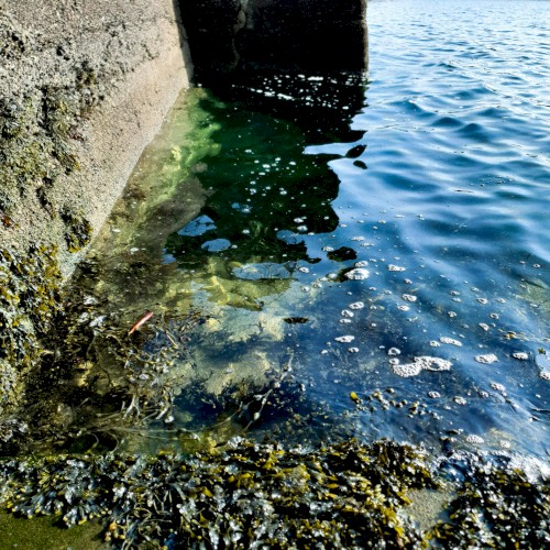 Pier