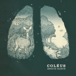 Coléus