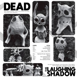 The Laughing Shadow