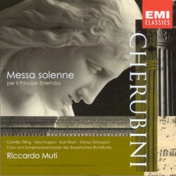 Messa solenne in D minor