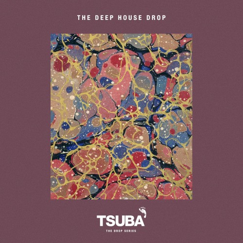 The Deep House Drop
