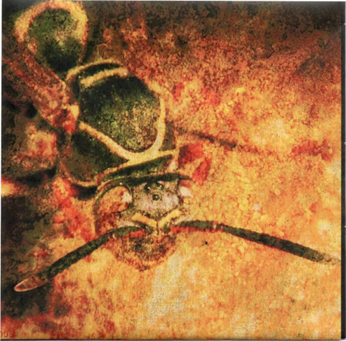 Mud Wasp