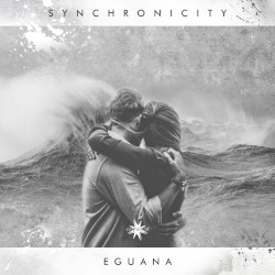 Synchronicity