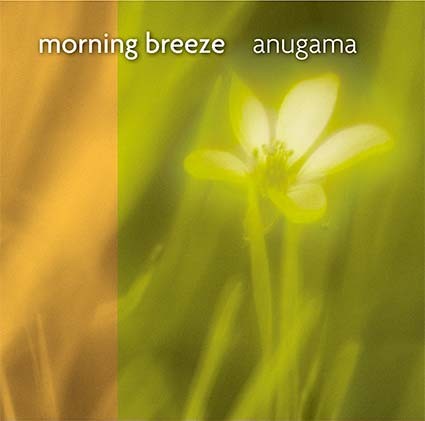 Morning Breeze