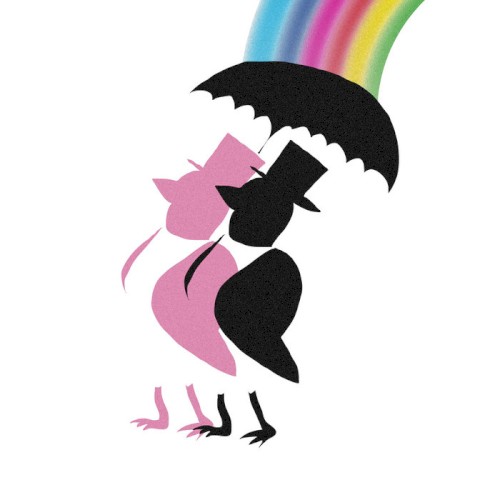 Rainbows Have Nothing To Hide