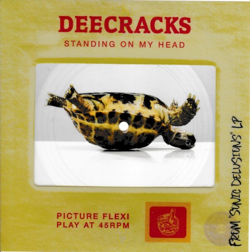 Standing on My Head