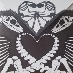 Total Fucking Destruction / Gardenbox / 27