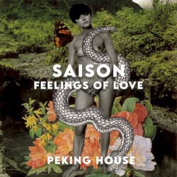 Feelings of Love