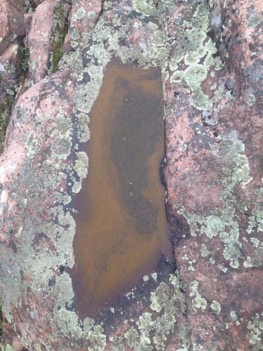 Stagnant Pool