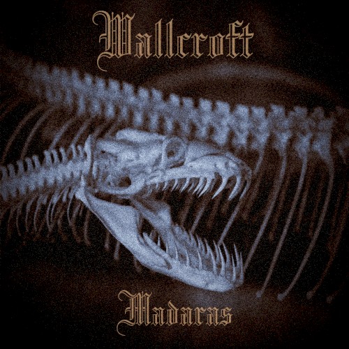 Madaras