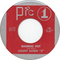 Bamboo Hut