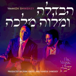 Havdalah & Melaveh Malkah