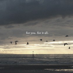 For You, For It All