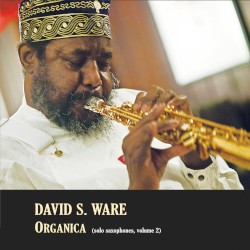 Organica (solo saxophones, volume 2)