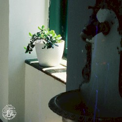Ground Sight