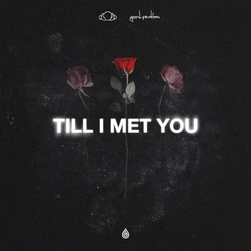 Till I Met You