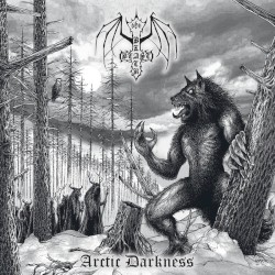 Arctic Darkness