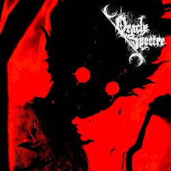 Agony Of The Piercing Resonance