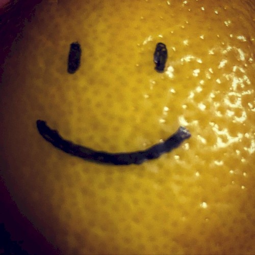 lemon Angel / lemon People