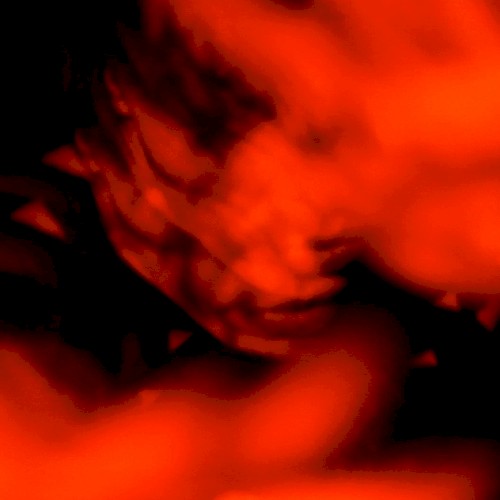 Fuoco