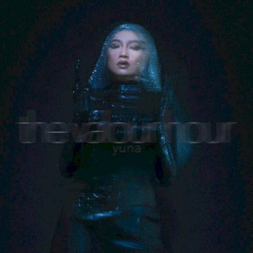 THE VALOUR HOUR