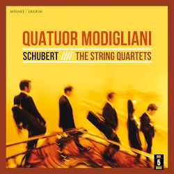 The String Quartets
