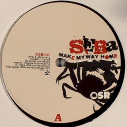 Make My Way Home / In the Sun