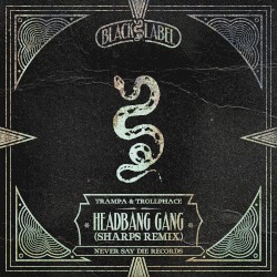 Headbang Gang (SHARPS remix)