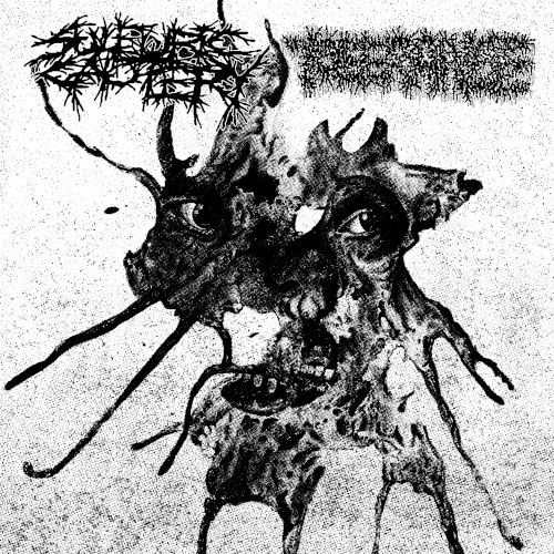 Sulfuric Cautery / Tolerance