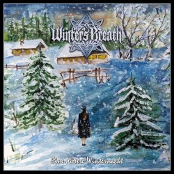 Eine Düstre Winternacht