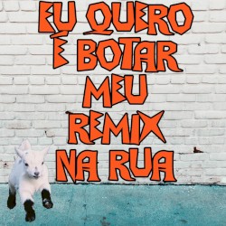 Eu quero é botar meu remix na rua