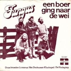Een boer ging naar de wei