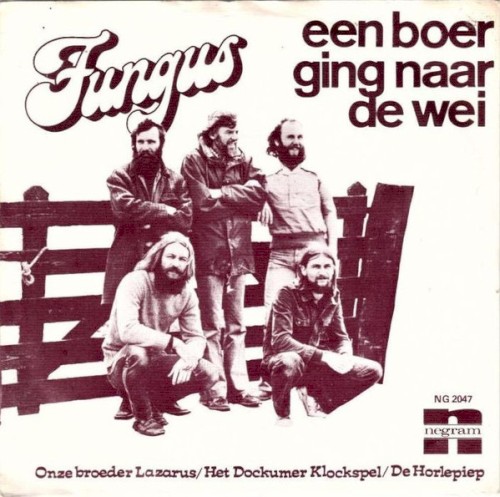 Een boer ging naar de wei